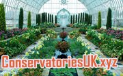 growing tomatoes in a conservatory